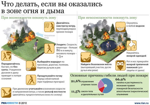 Обо всем - Геймер, если ты в зоне лесного или торфяного пожара.